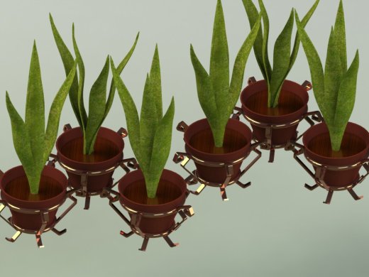 植物和花瓶缩略图