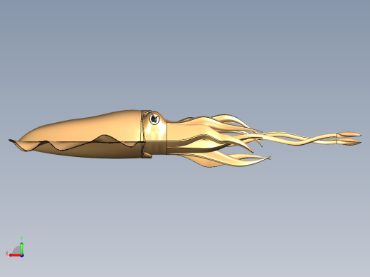 墨鱼后视缩略图
