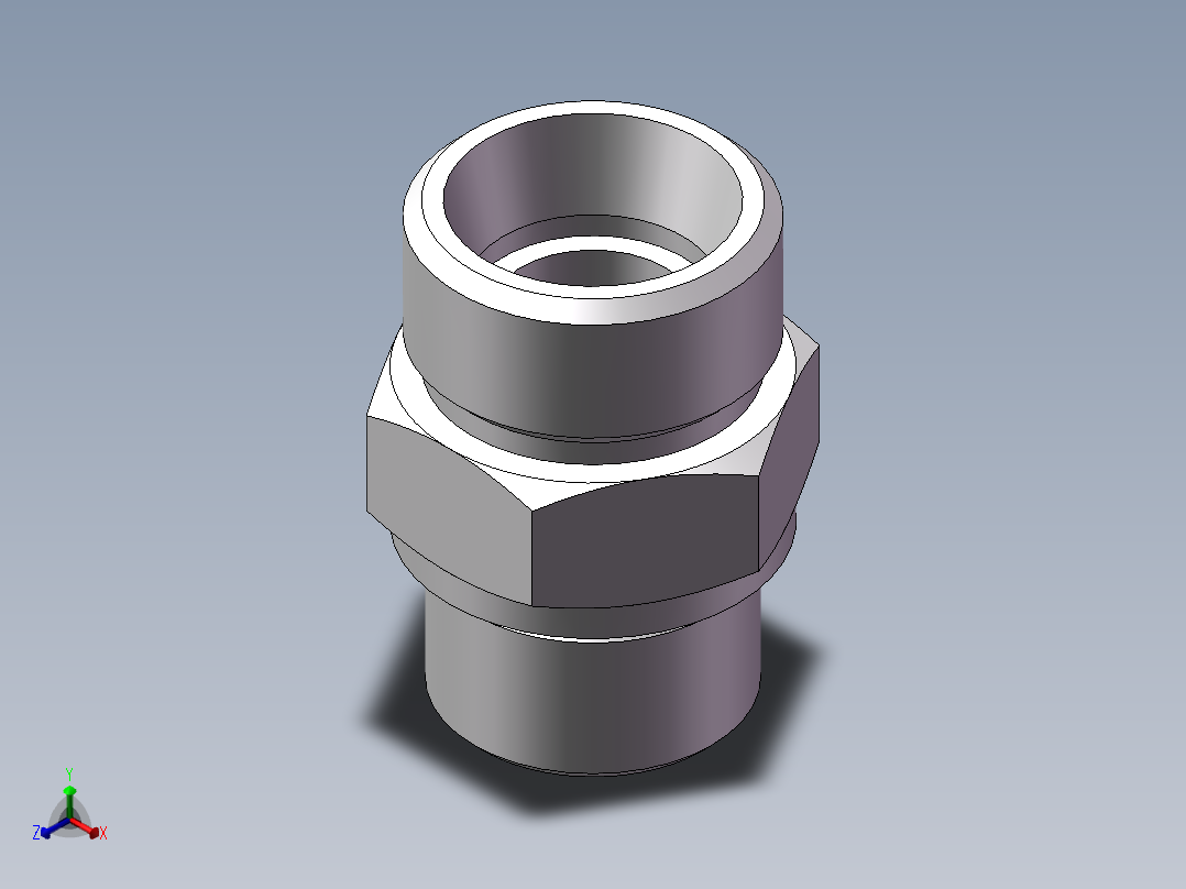 英制管螺纹ED密封、1DB-30-12WD正等轴测图
