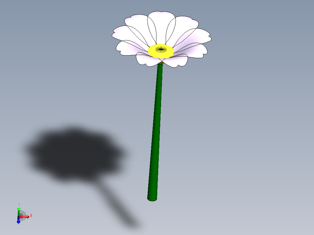 花主视图