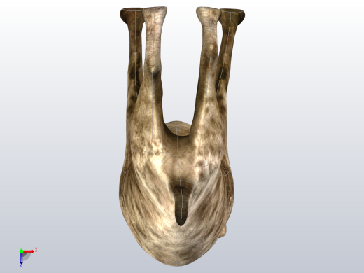 土狼俯视缩略图