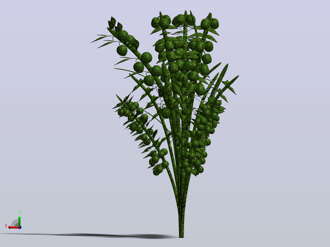 树tree主视图