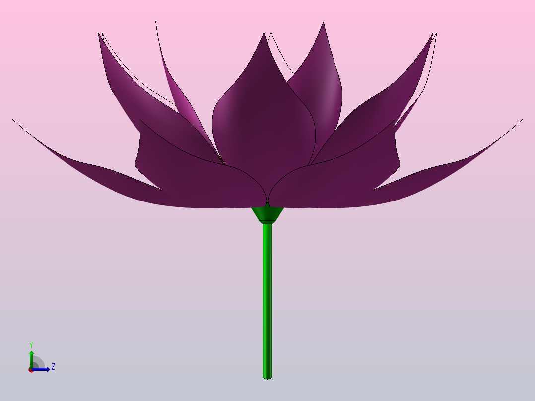荷花-2010版左视图