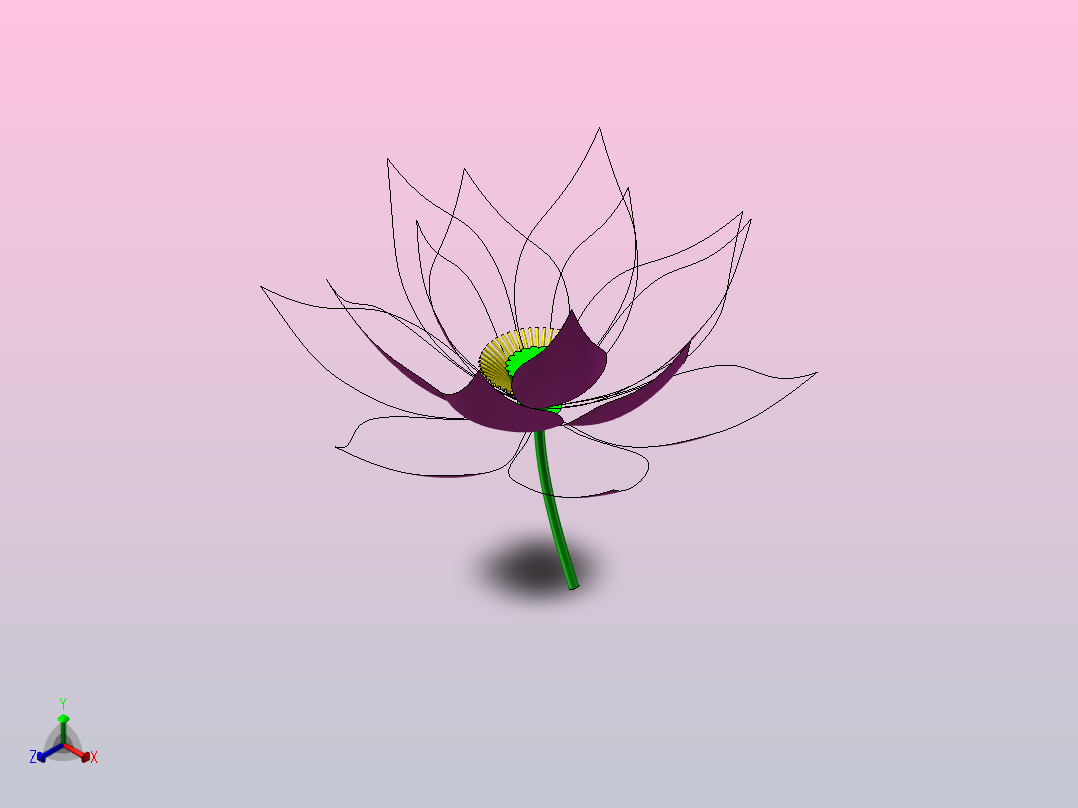 荷花-2010版正等轴测图