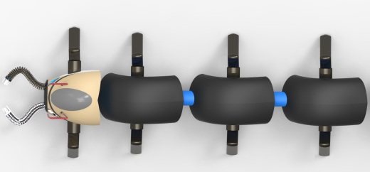 antipede-1.snapshot.4缩略图