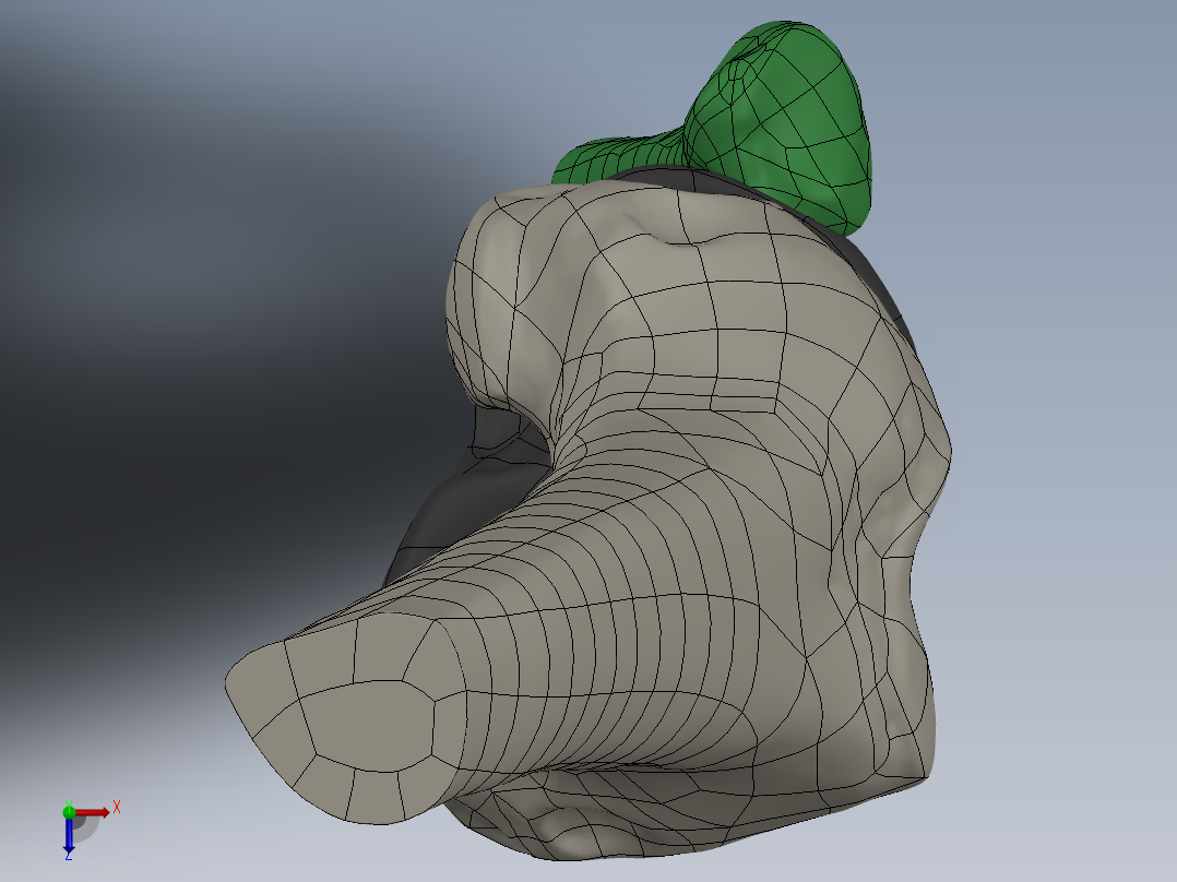 骨骼、人体骨骼(6)俯视图