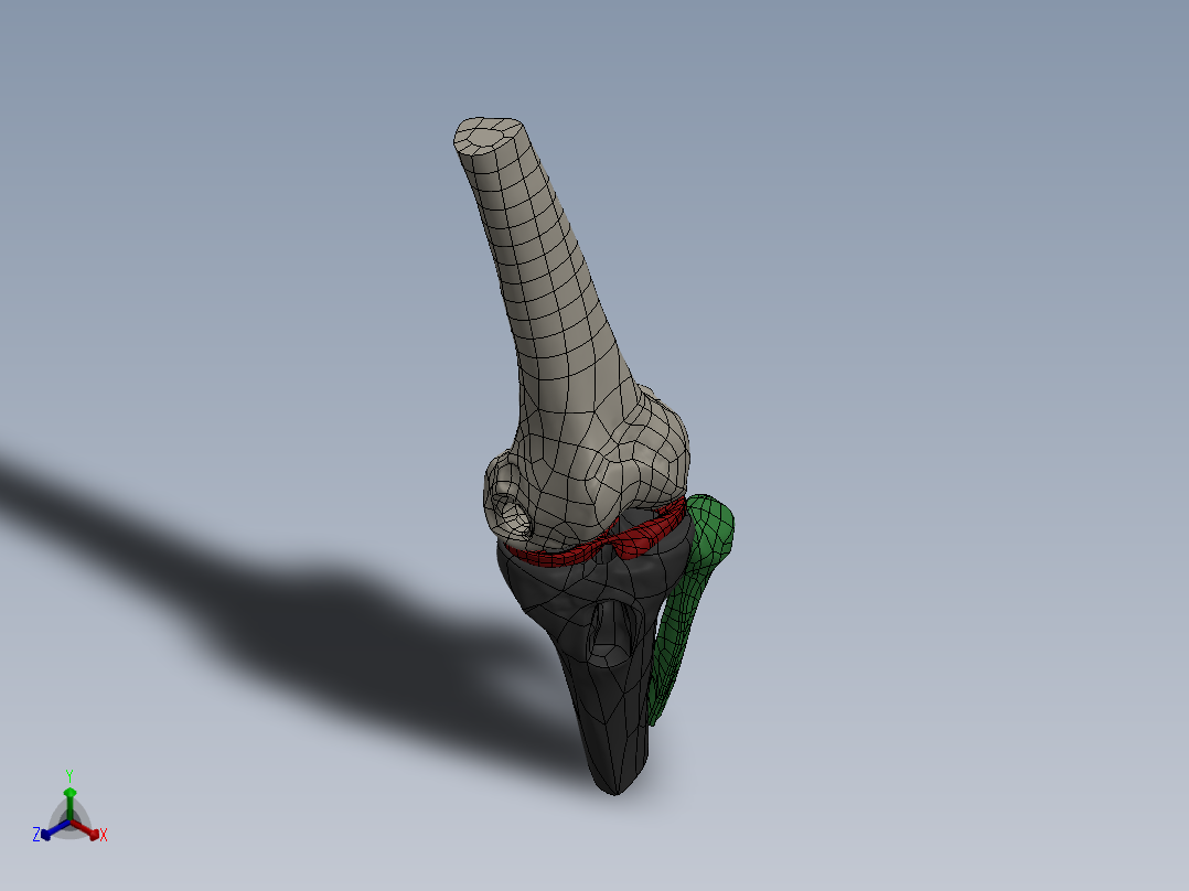 骨骼、人体骨骼(6)正等轴测图