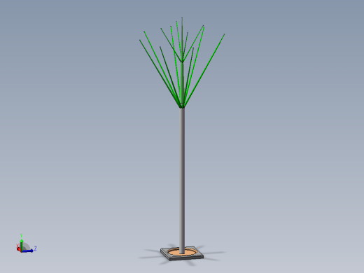 树 小树 绿化树 植物