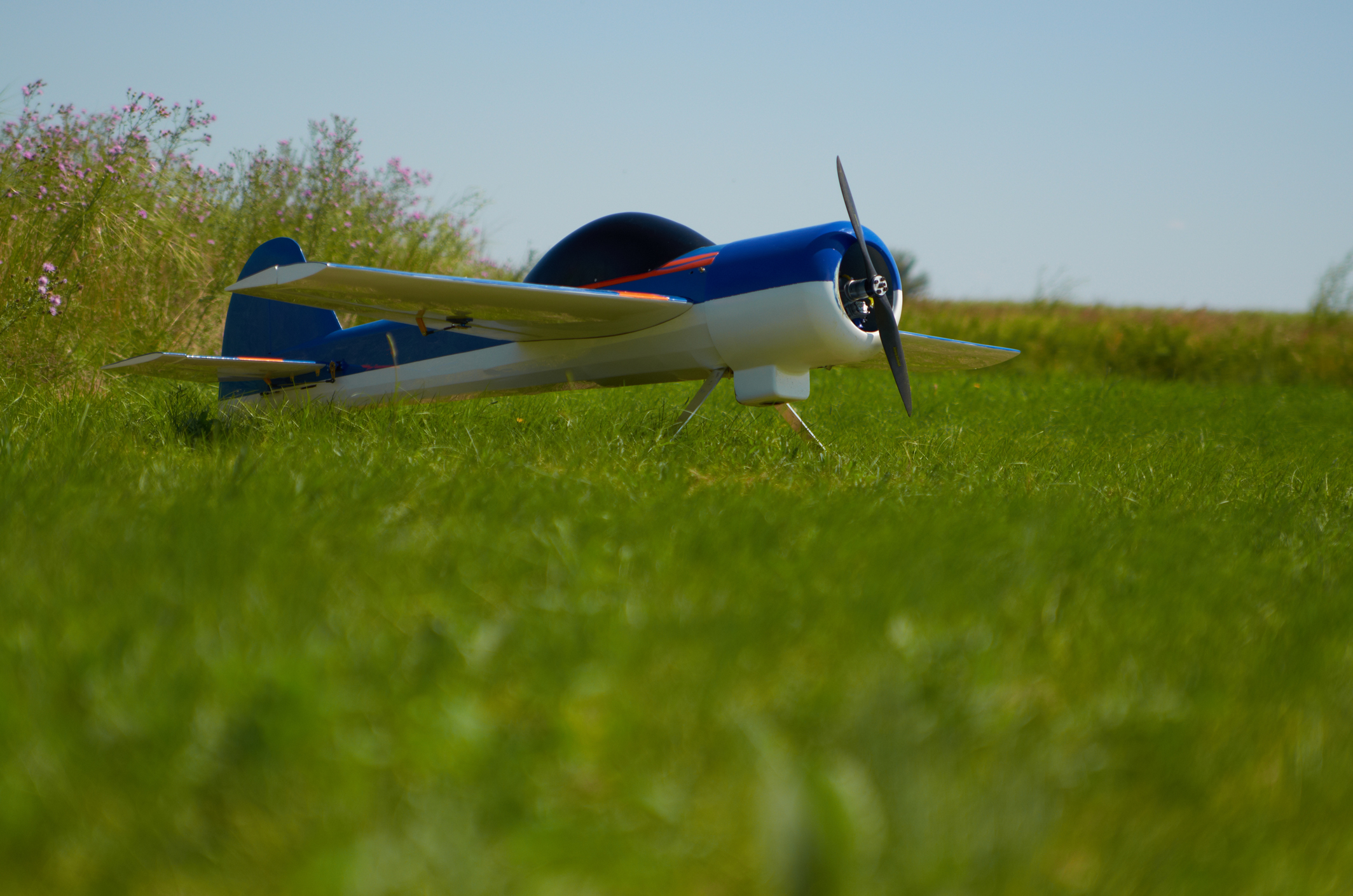 特技飞机油动航模