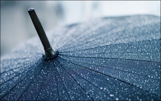 雨伞缩略图