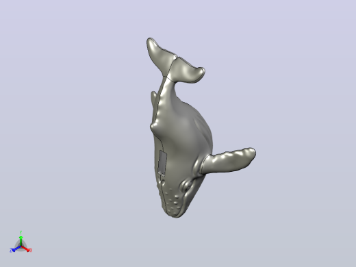 驼背鲸V1 3D模型