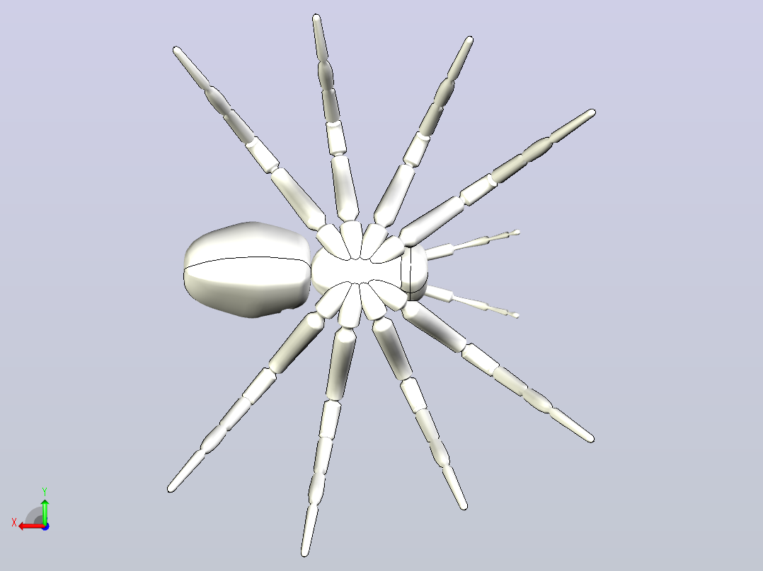 蜘蛛后视图