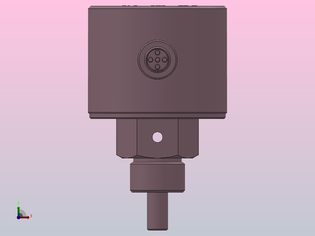 TXZLT100数显式(流量+温度)开关[TXZLT100-G12EDNNNQ]前视图