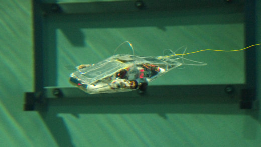 自制ROV遥控潜水艇gamma缩略图