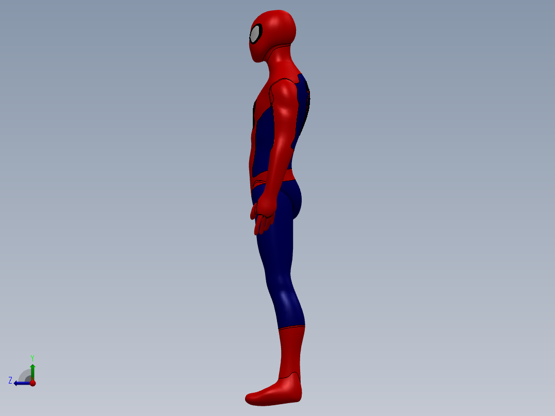 人体模型(66)右视图