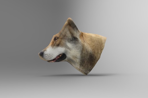 狼狗缩略图
