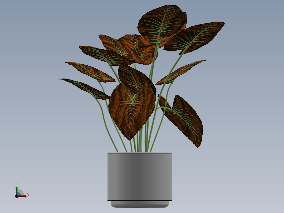 植物前视图