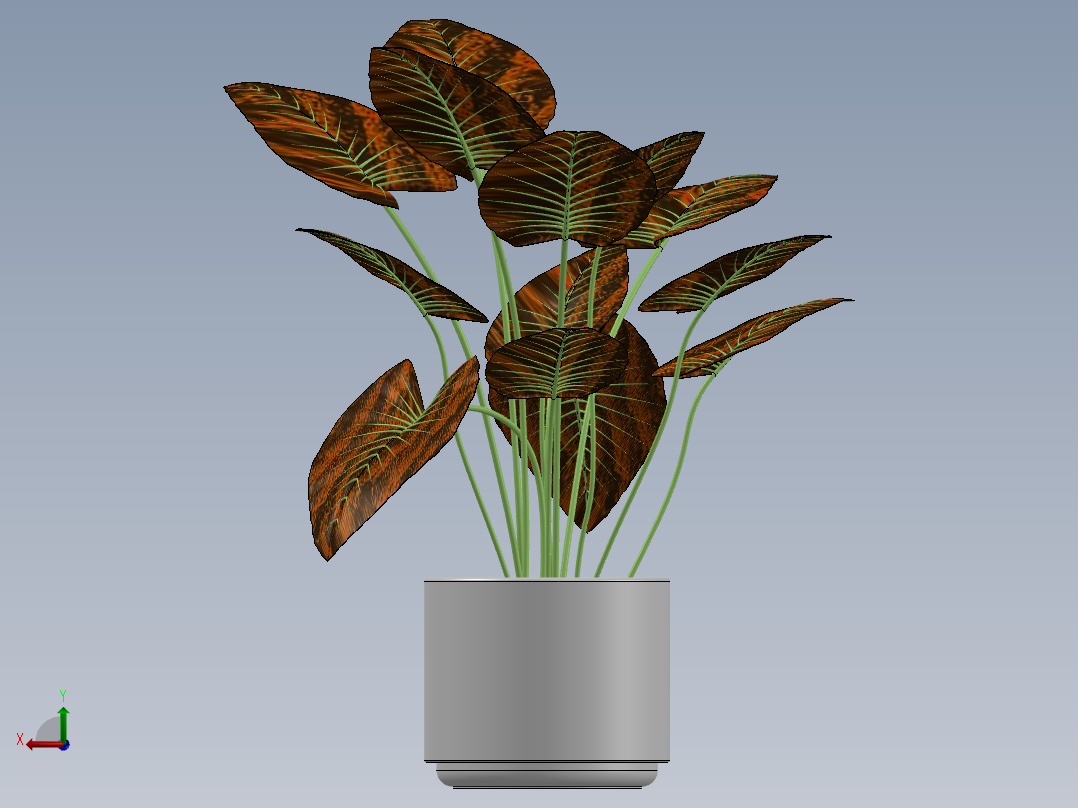 植物后视图