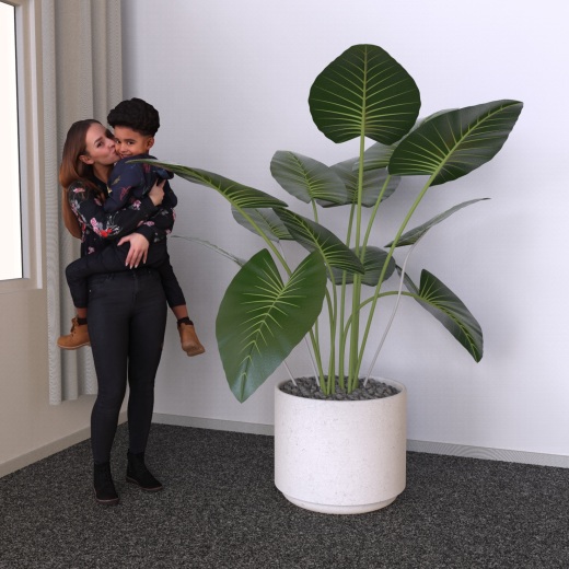 植物缩略图