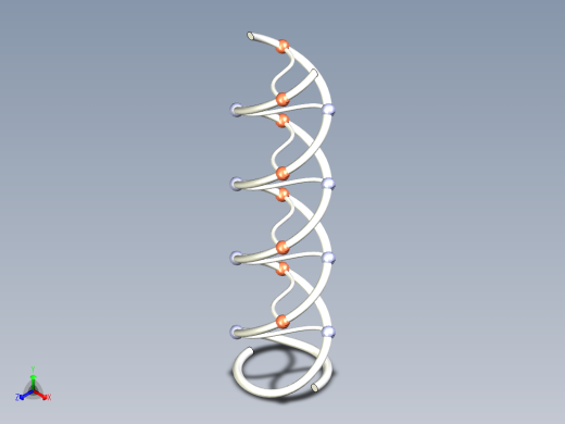DNA基因染色体17