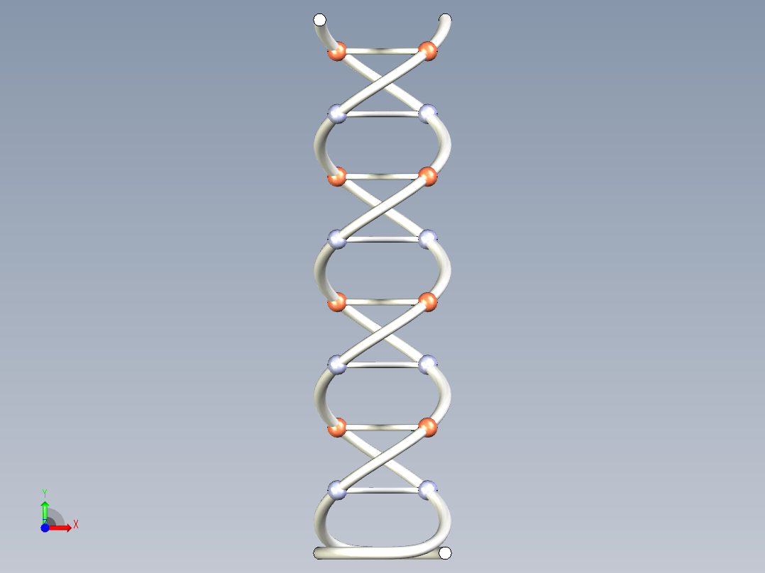 DNA基因染色体17前视图