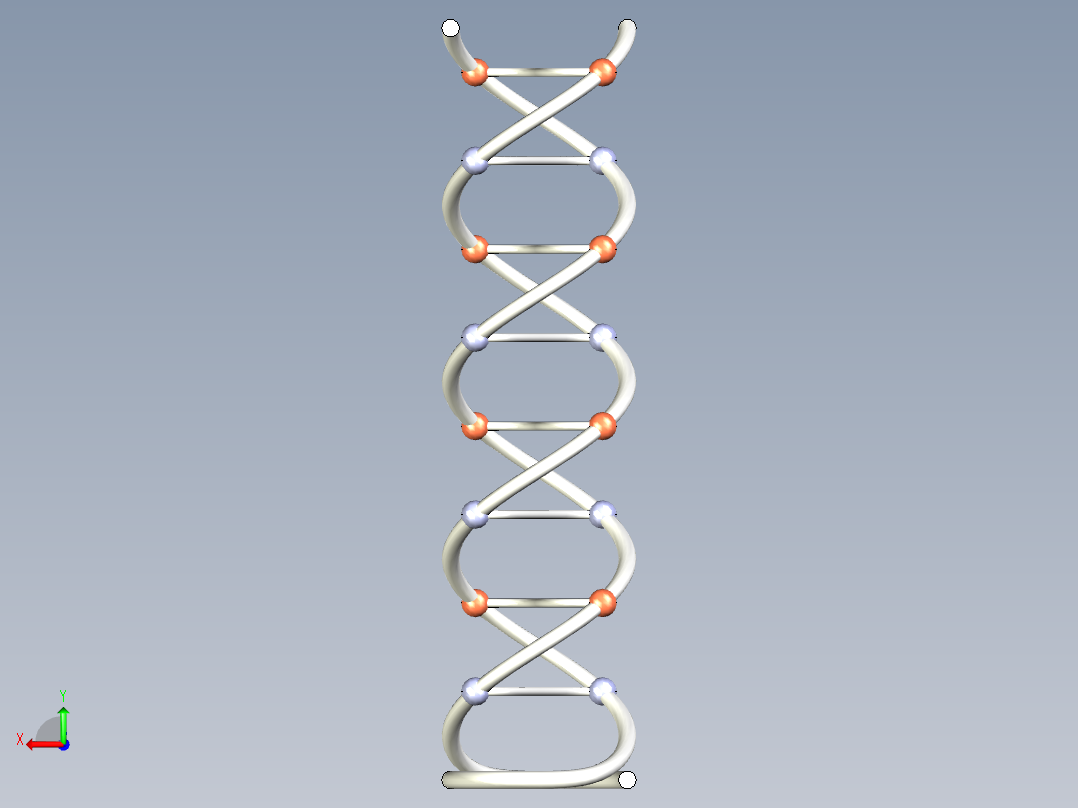 DNA基因染色体17后视图