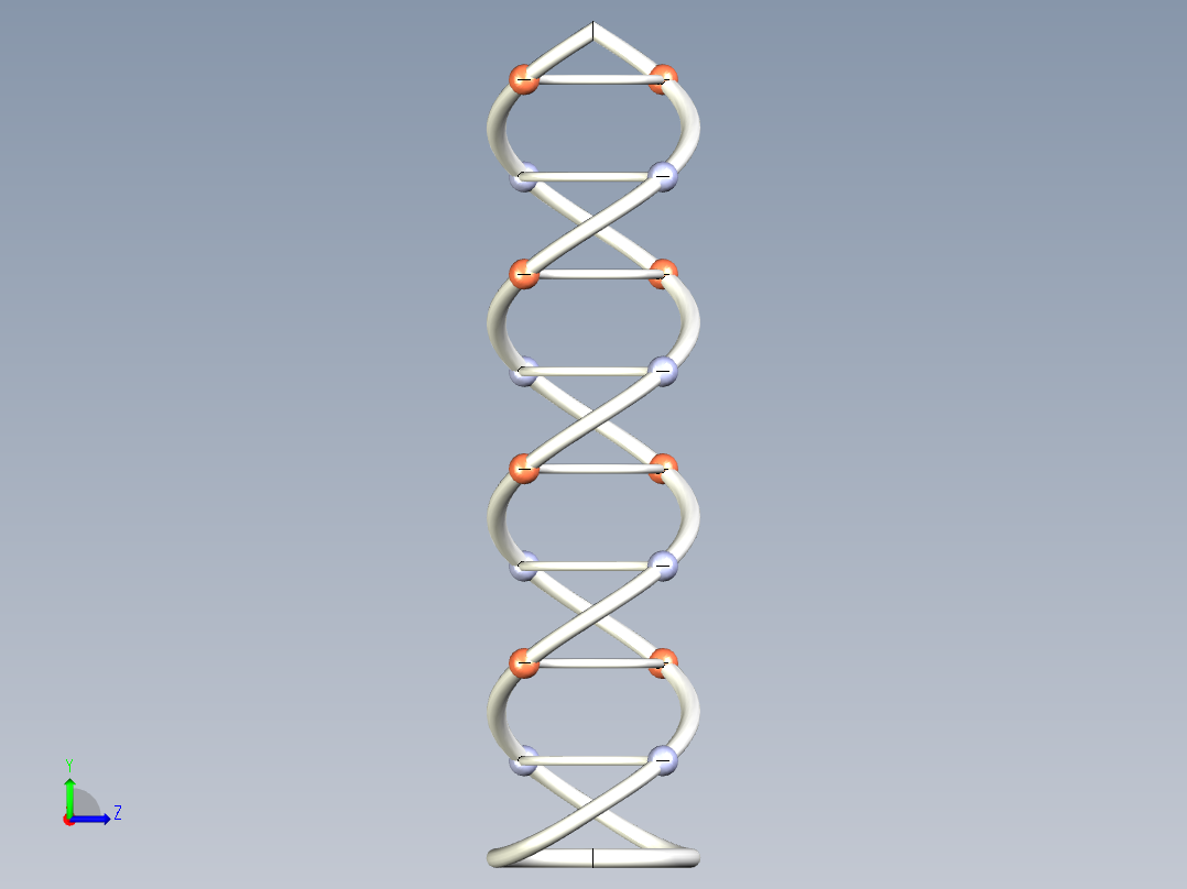 DNA基因染色体17左视图