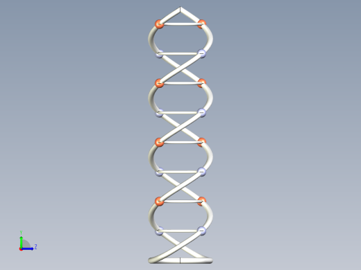DNA基因染色体17左视缩略图