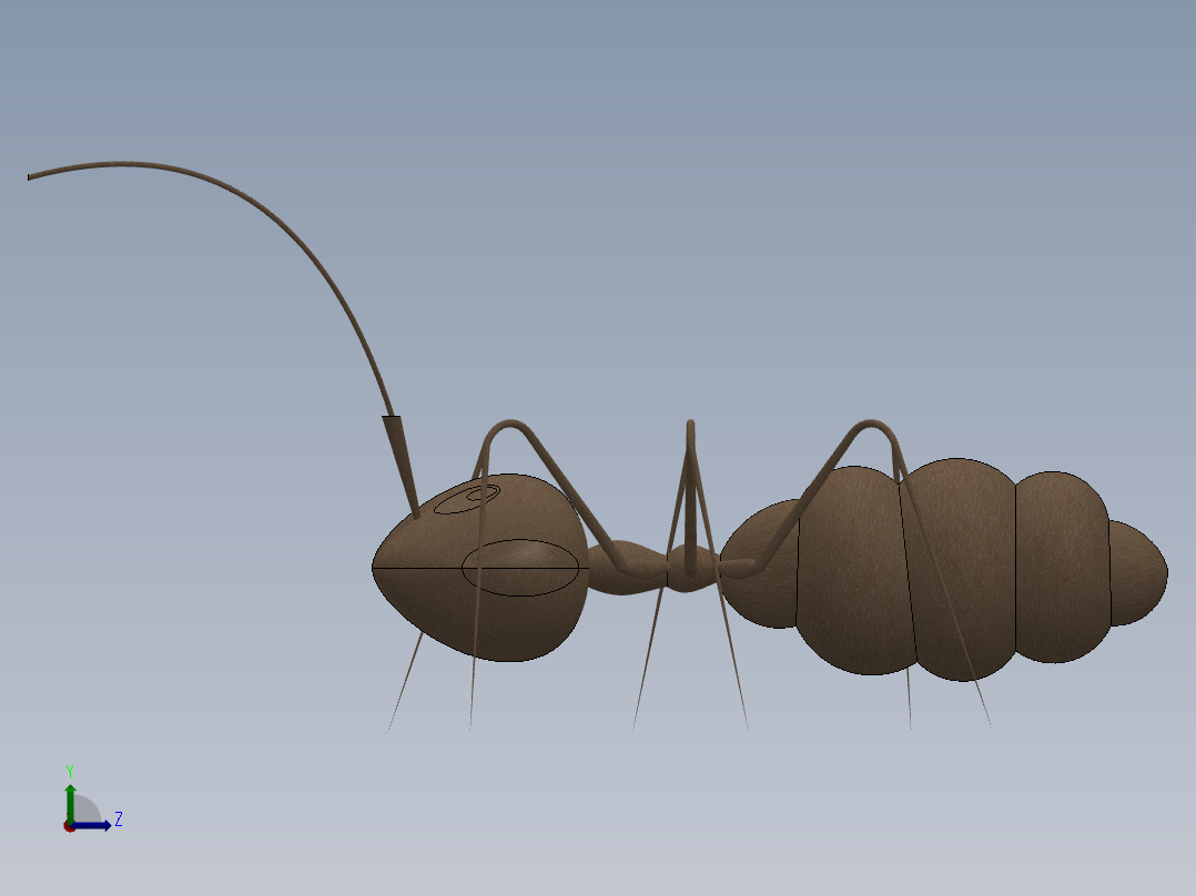 卡通蚂蚁3d模型左视图