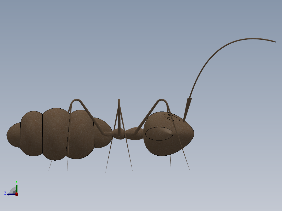 卡通蚂蚁3d模型右视图