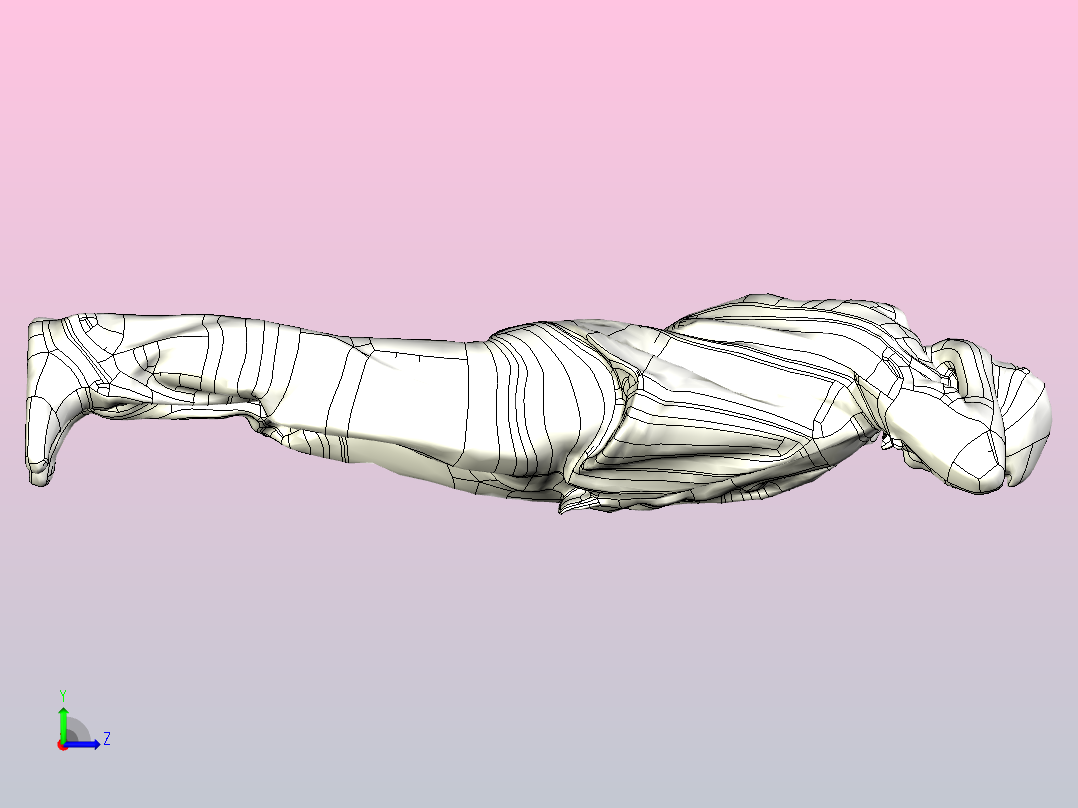 身体扫描左视图