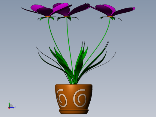 君子兰花左视缩略图