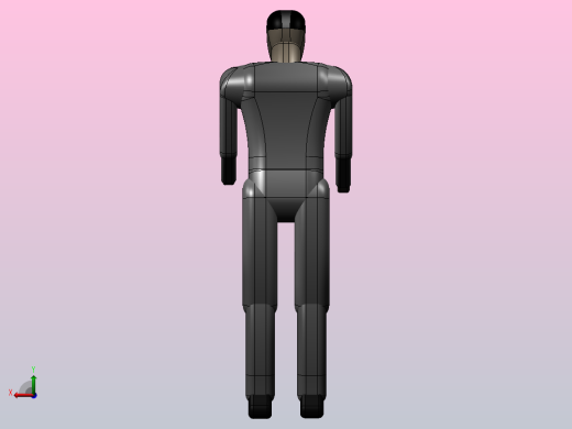 人体模型man后视缩略图