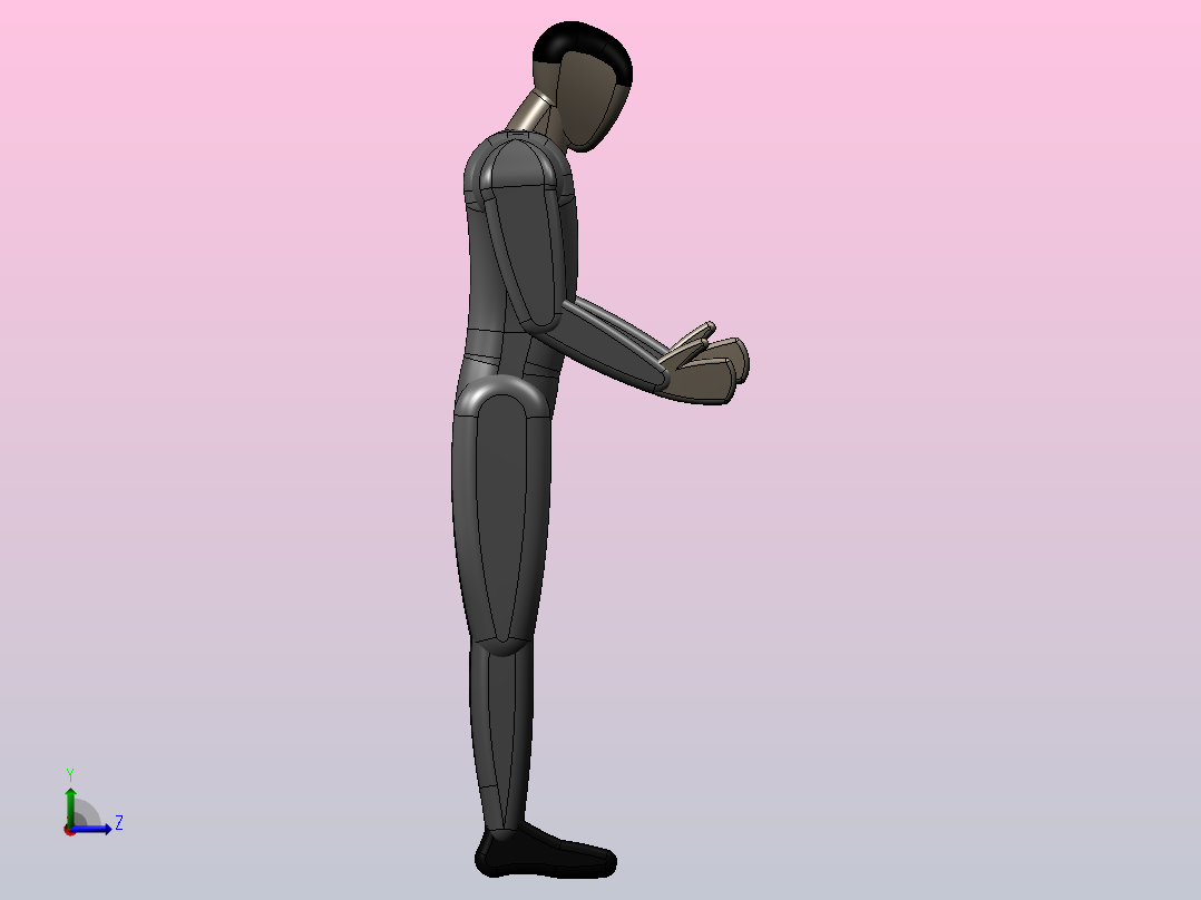 人体模型man左视图