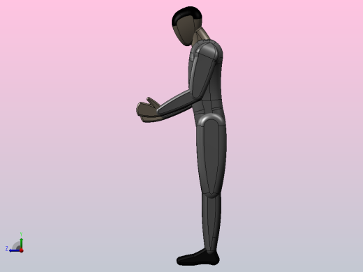 人体模型man右视缩略图