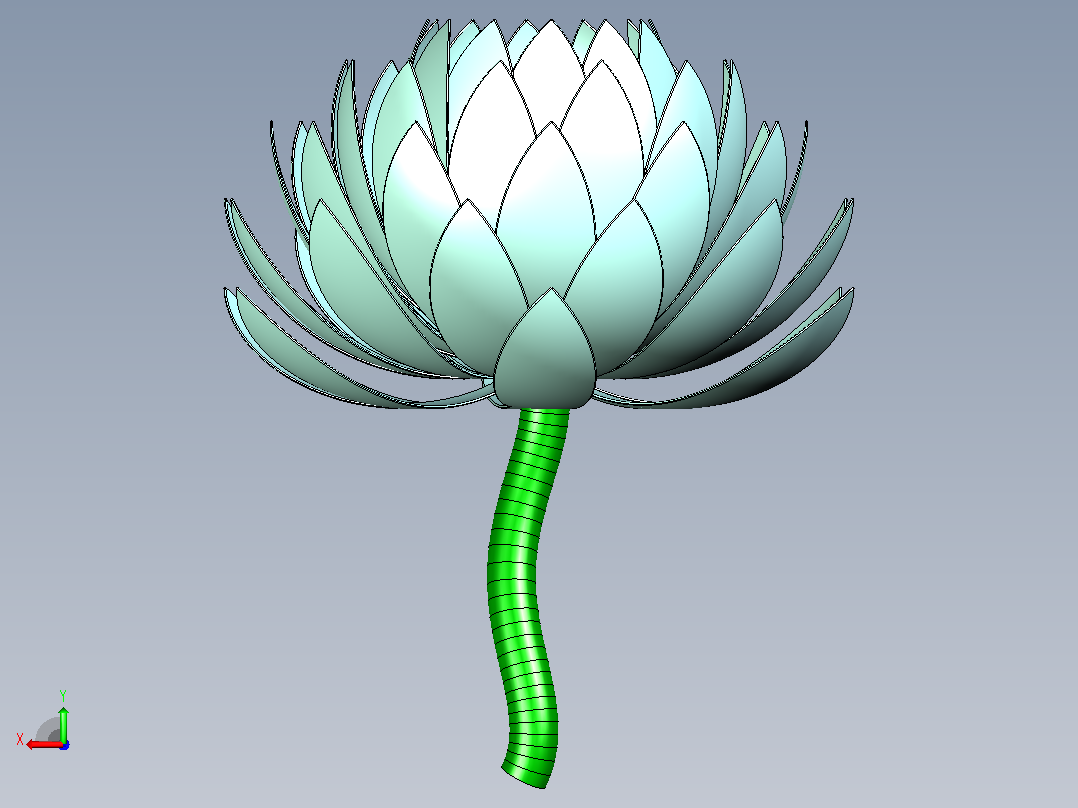 莲花后视图