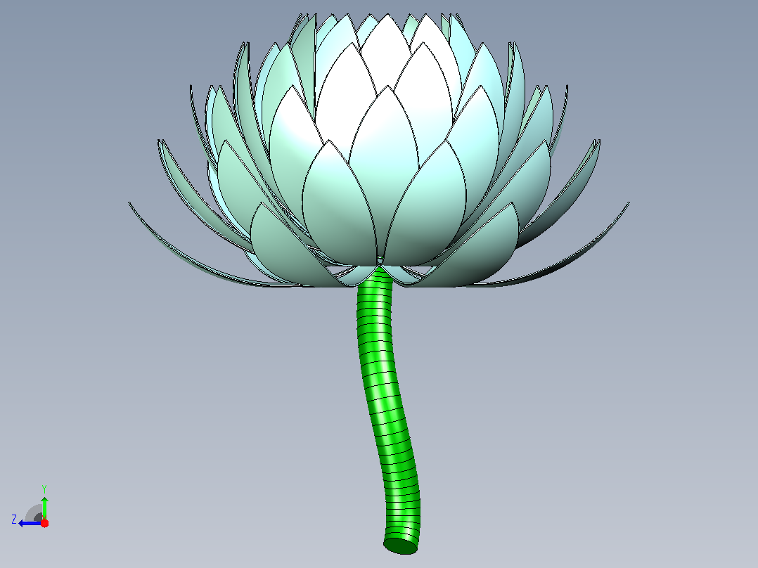 莲花右视图