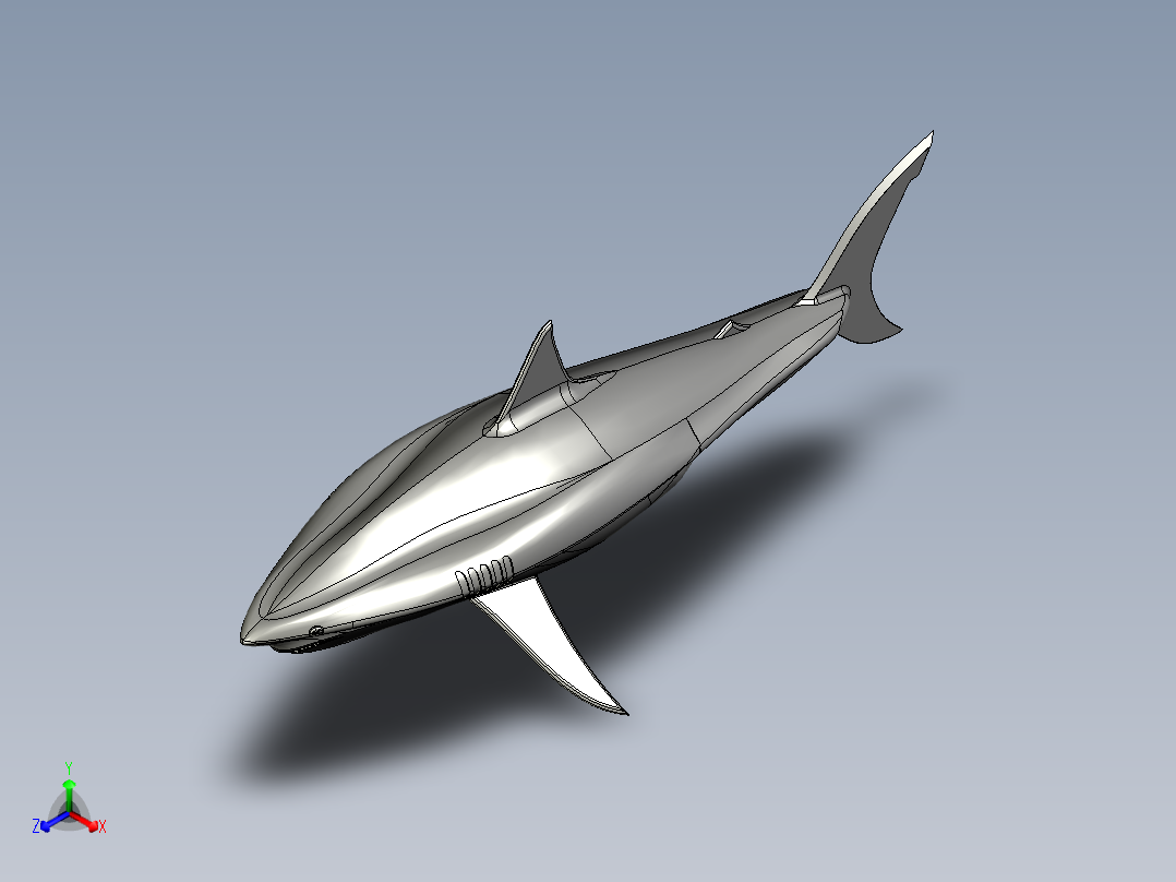 20英尺长的鲨鱼