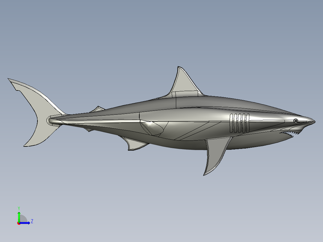 20英尺长的鲨鱼左视图