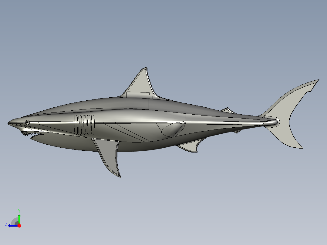 20英尺长的鲨鱼右视图