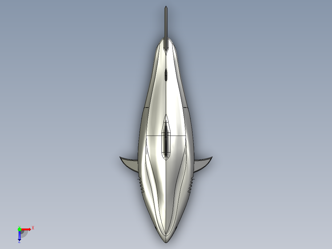 20英尺长的鲨鱼俯视图