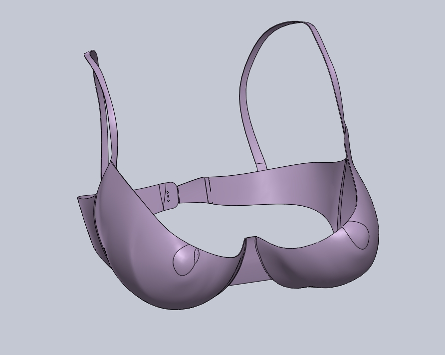 34D胸罩的3D模型