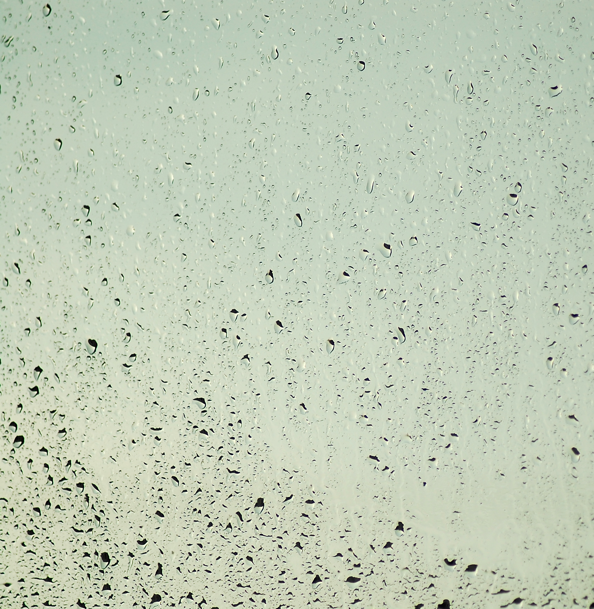 玻璃器子、杯子