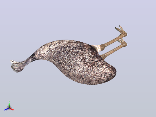 鸟V2 3D模型