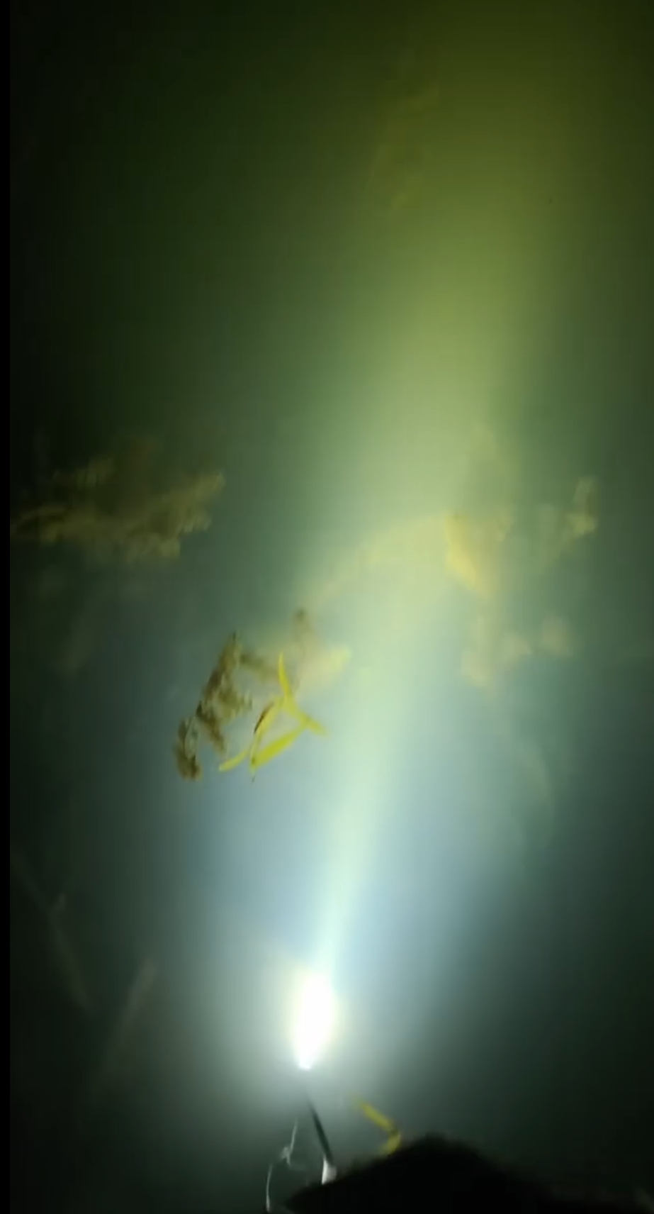 水下探照灯