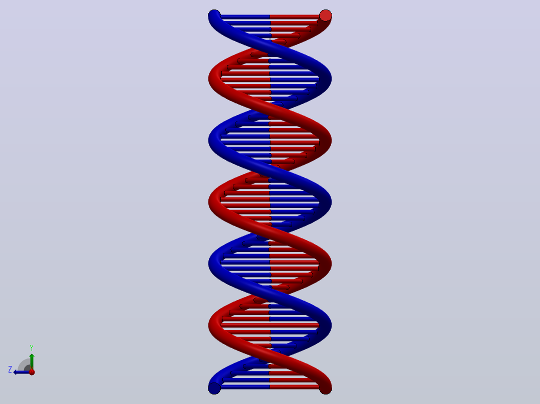 该 3D 模型代表受 DNA 分子几何形状启发的双螺旋结构。右视图