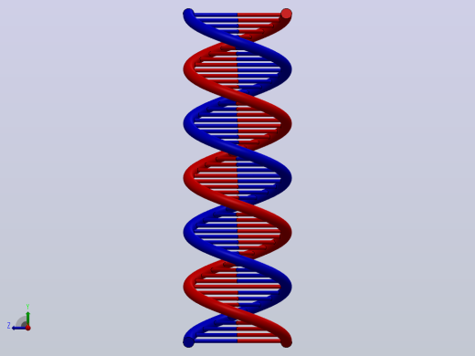 该 3D 模型代表受 DNA 分子几何形状启发的双螺旋结构。右视缩略图