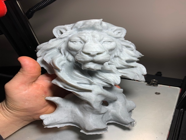森林上的狮子