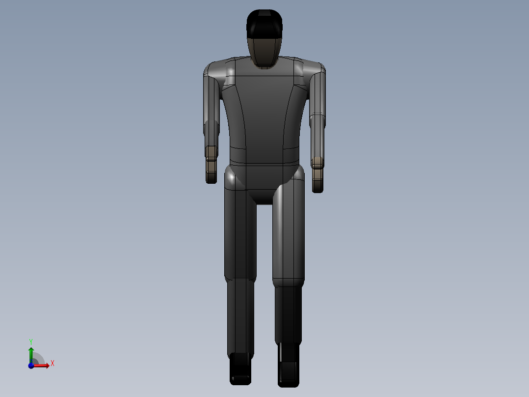 标准人体模型前视图