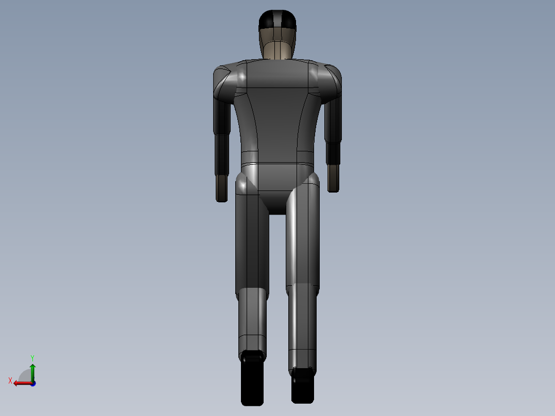 标准人体模型后视图